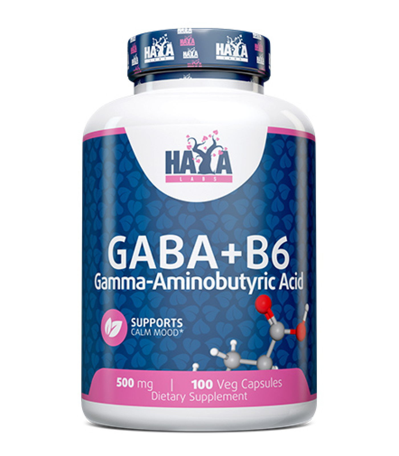 HAYA LABS GABA + B-6 500 mg / 100 Vcaps